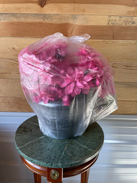 Floral Covers Natural Clear 24 X 33 Small