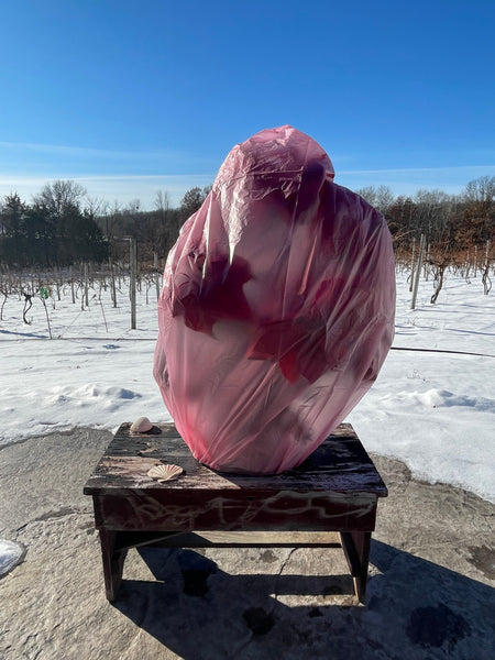 Floral Covers - Rose Pink 33 X 40 Medium